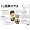 Poster Pédagogique Gelée Royale -Outil Sapicoles Magasin poster pedagogique la gelee royale 600850 mm