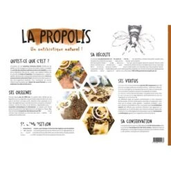 Poster Pédagogique La Propolis