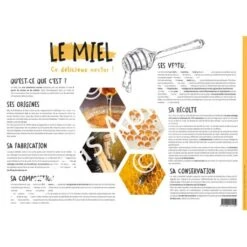 Poster Pédagogique Le Miel