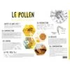 Poster Pédagogique Le Pollen -Outil Sapicoles Magasin poster pedagogique le pollen 600850 mm