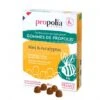Gommes Propolis Miel Eucalyptus 1 Gommes Propolis Miel Eucalyptus -Outil Sapicoles Magasin propolia gommes de propolis miel et eucalyptus sachet de 45 g